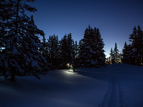 вечерние прогулки на снегоступах в шамони, горный гид